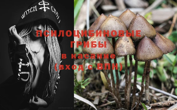 мет Зеленодольск