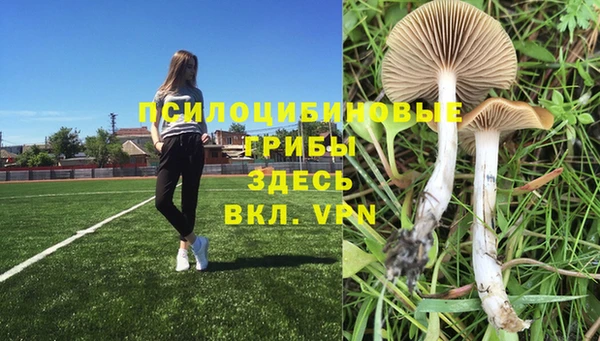 мет Зеленодольск